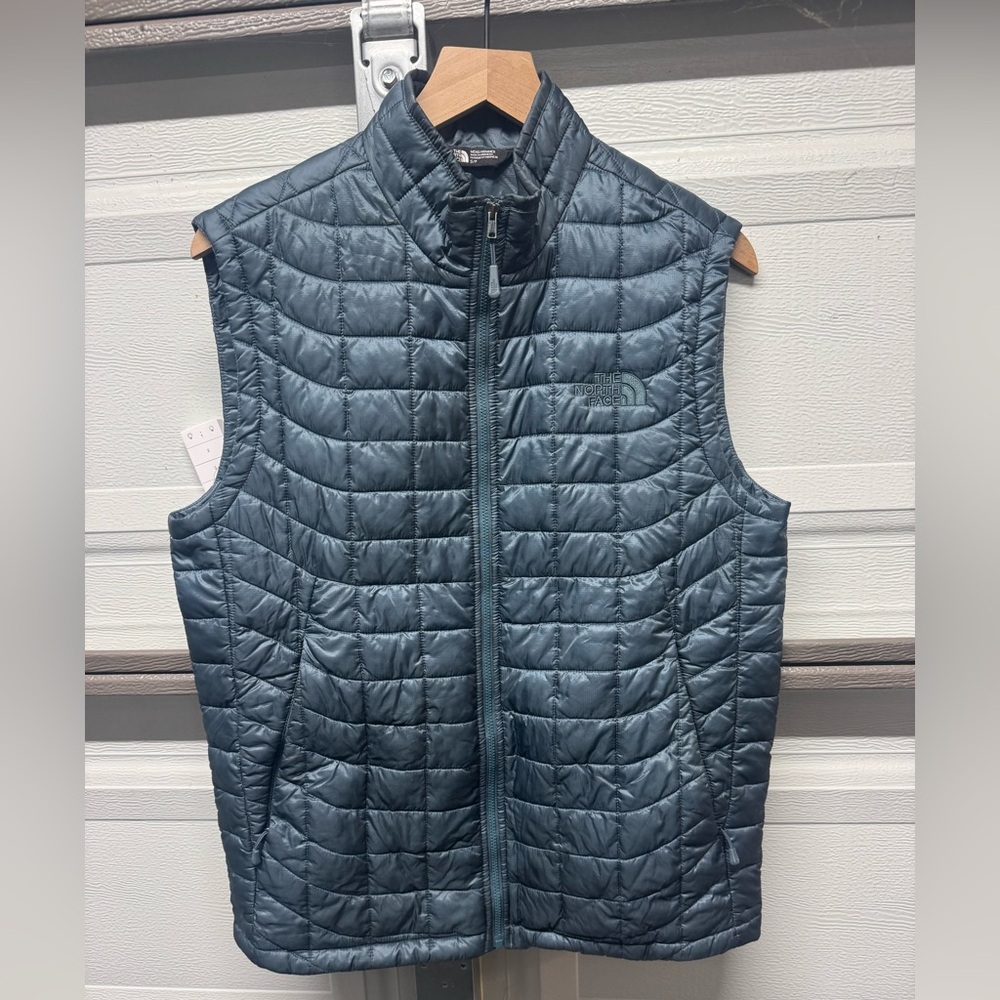 The North Face Metallic Blue Puffer Jacket